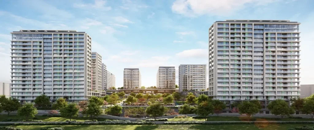 Kuzey Adalar / Kartal Projesi
